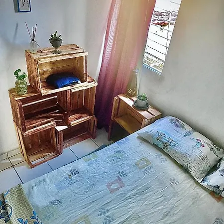 Meu abrigo-2