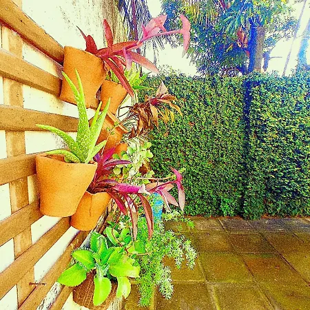 Meu abrigo-3